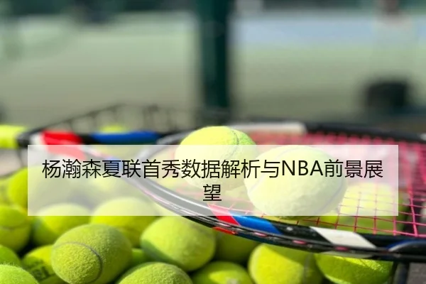 杨瀚森夏联首秀数据解析与NBA前景展望